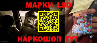 ешки Новодвинск