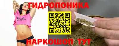 ешки Новодвинск